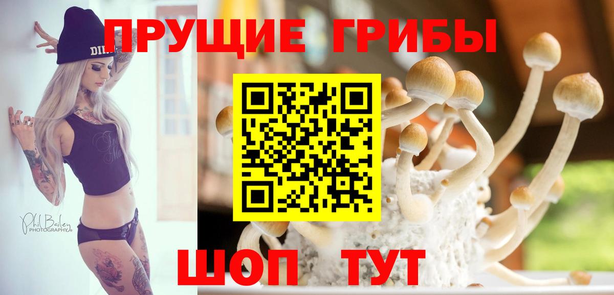Псилоцибиновые грибы Psilocybe  Псилоцибиновые грибы мицелий  Вход с VPN  Феодосия 